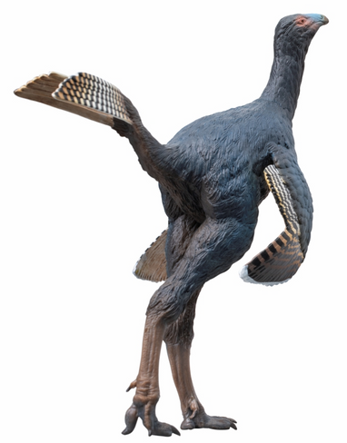 PNSO Junlang the Caudipteryx #93 Manufacturer hero image